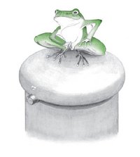 Frosch auf Aqua-Top Abdeckung